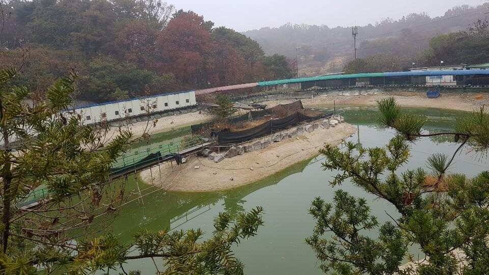 여주낚시터 하우스 조행기 (유료터정보 - 유료터조행기)