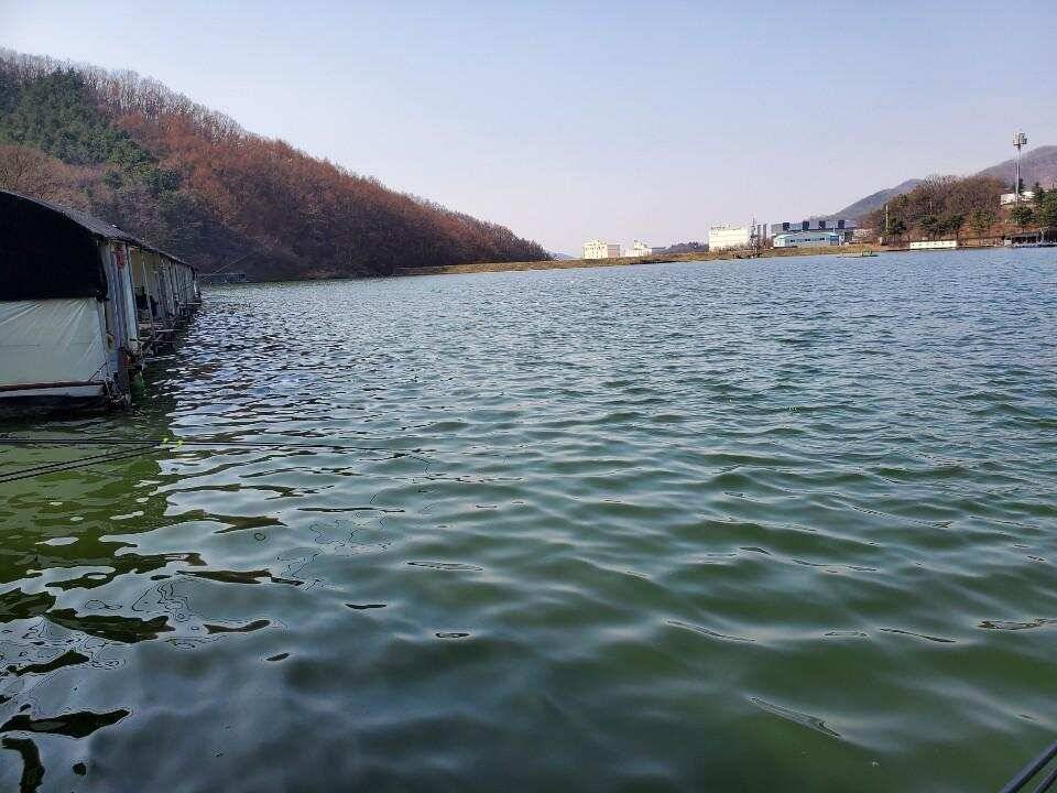 경기광주 진우 낚시터 (유료터정보 - 유료터조행기)