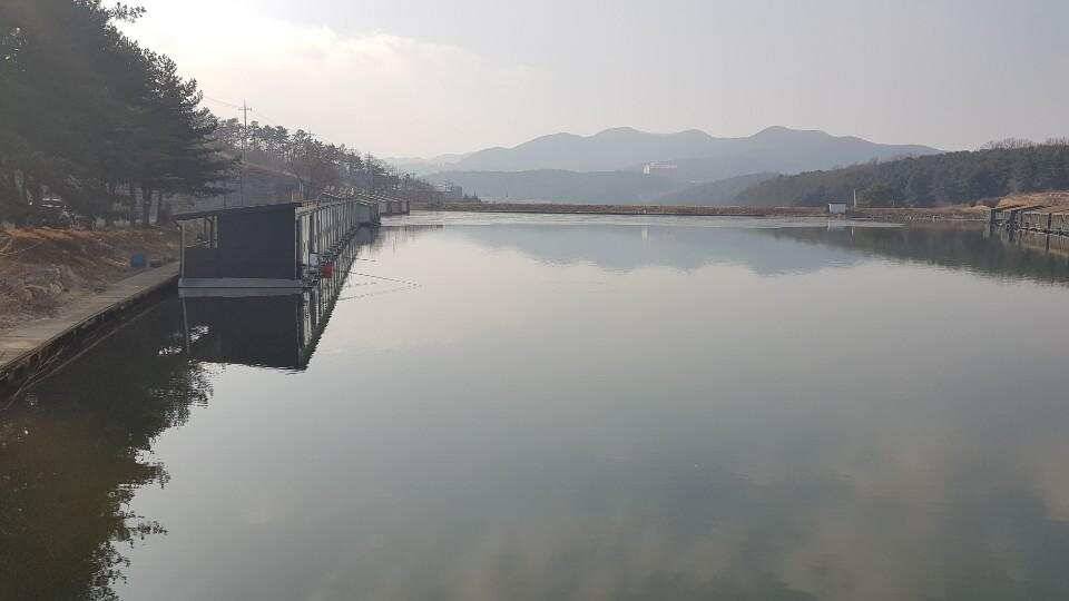 안성 도곡 낚시터 출조 (유료터정보 - 유료터조행기)