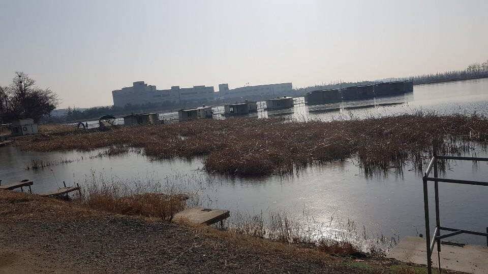 안석낚시터 하우스 출조 (유료터정보 - 유료터조행기)