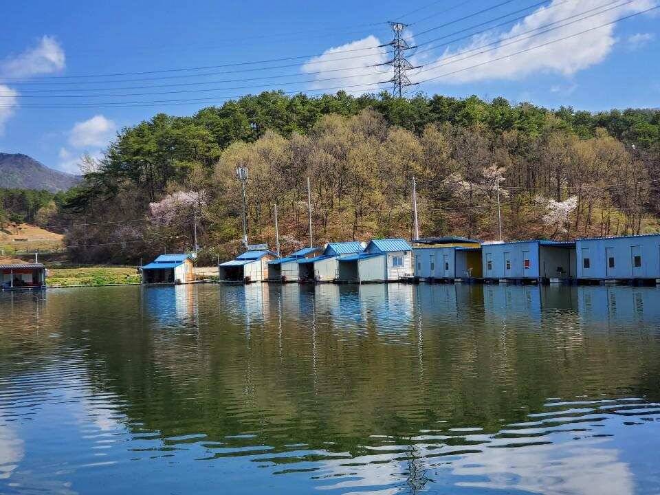 4월18일 요덕골 낚시터 출조 (유료터정보 - 유료터조행기)