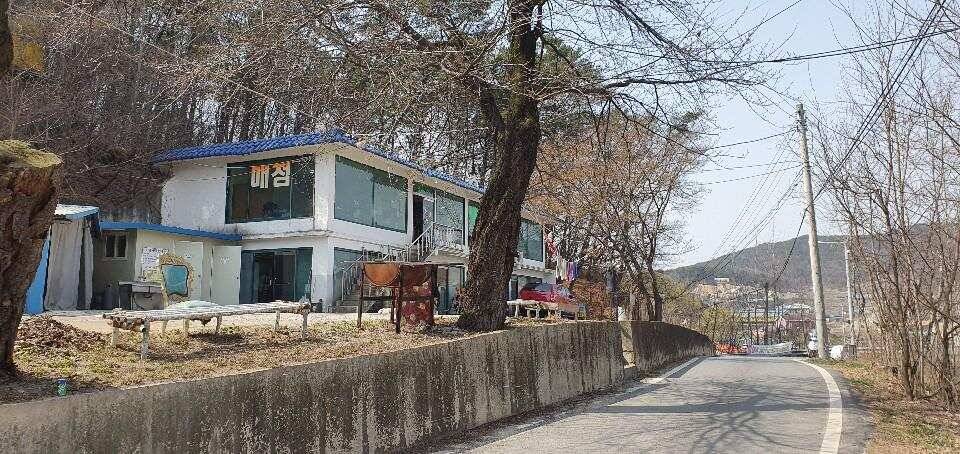 블랙베어의 유료터 조행기 반제낚시터 (유료터정보 - 유료터조행기)