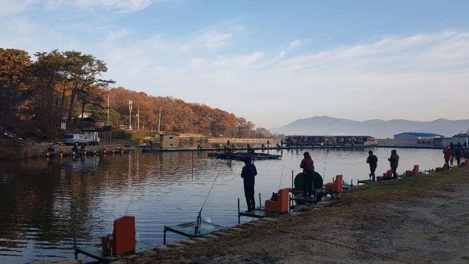 장광낚시터 출조 (유료터정보 - 유료터조행기)