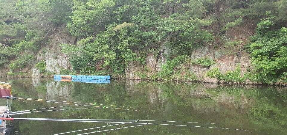 블랙베어의 유료터 조행기 동교낚시터 와이프와 짬낚시 (유료터정보 - 유료터조행기)