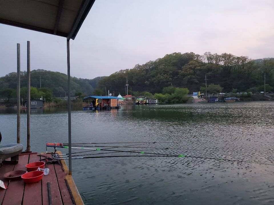 4월25일 초평지 사또좌대 (유료터정보 - 유료터조행기)