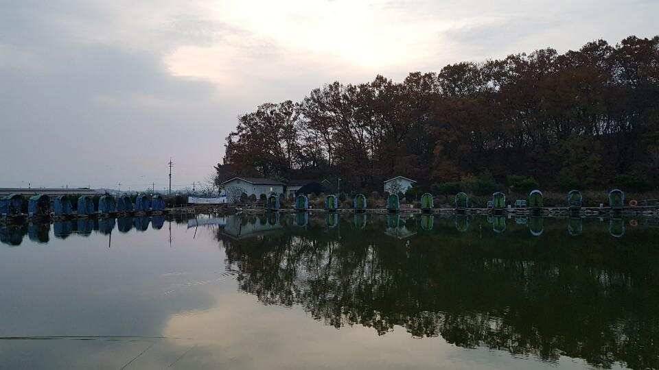 아리수 낚시터 출조 (유료터정보 - 유료터조행기)