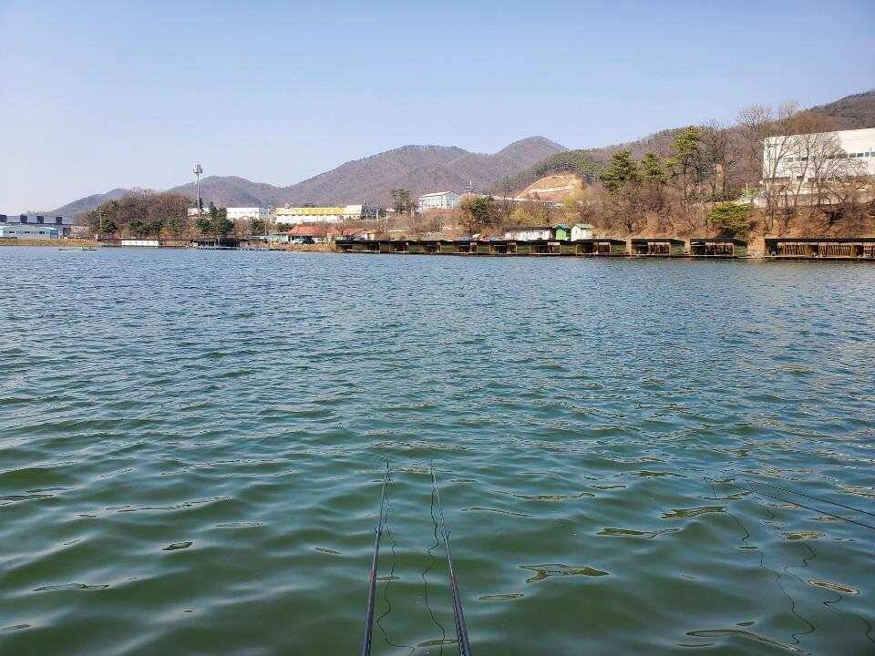 경기광주 진우 낚시터 (유료터정보 - 유료터조행기)