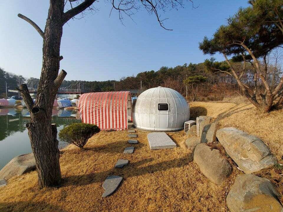 고재낚시글램핑장 출조 (유료터정보 - 유료터조행기)