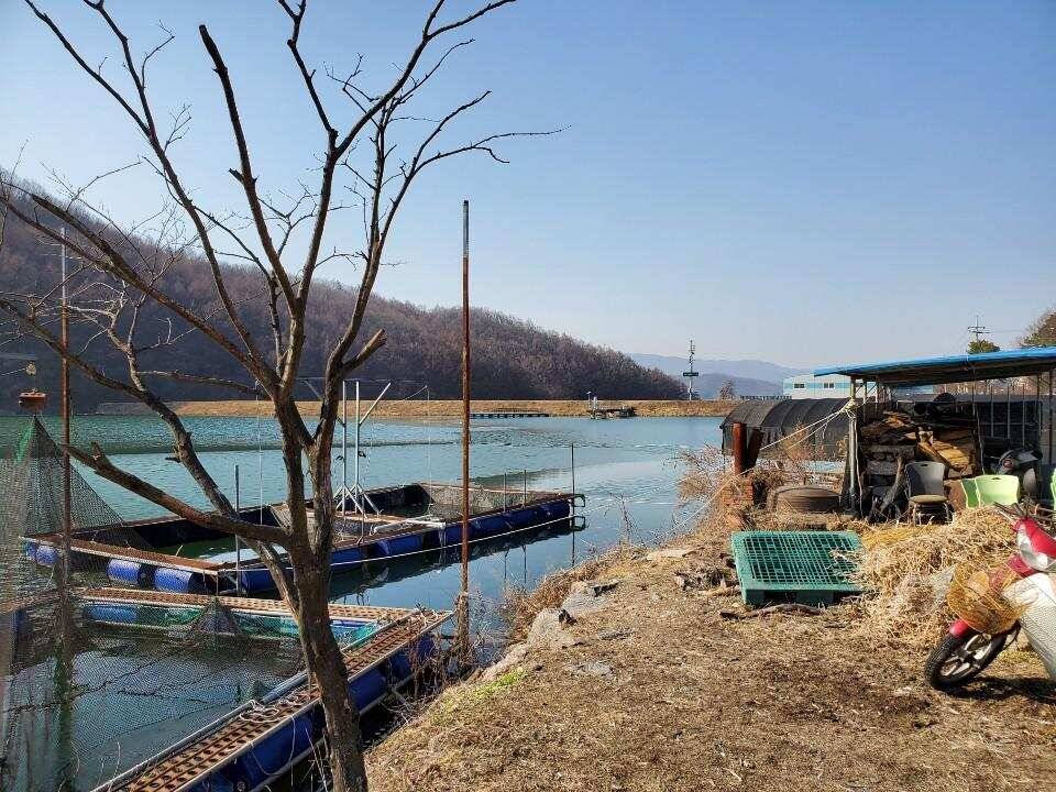 경기광주 진우 낚시터 (유료터정보 - 유료터조행기)