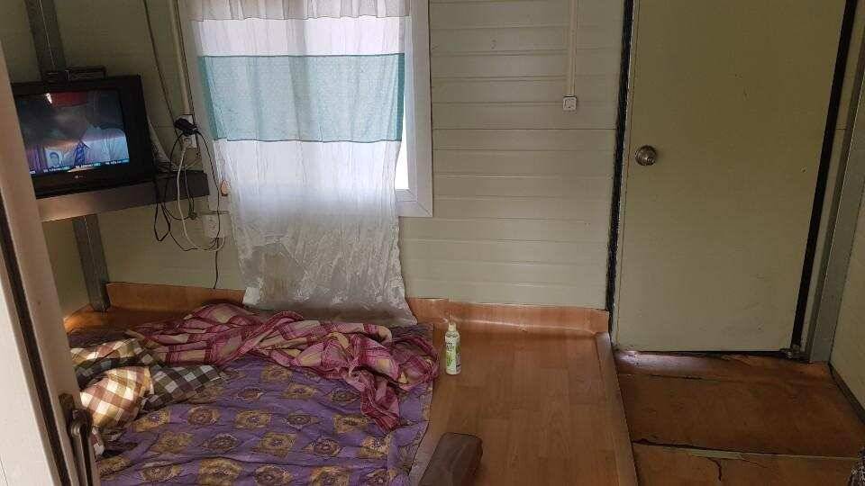 안성 도곡 낚시터 출조 (유료터정보 - 유료터조행기)