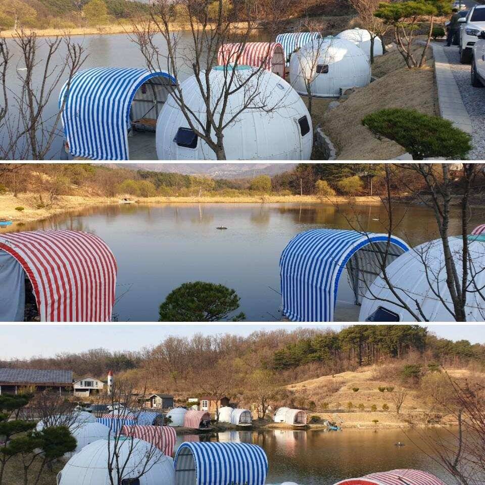 불금불타는 금요일 고재 낚시터 다녀왔어요 (유료터정보 - 유료터조행기)