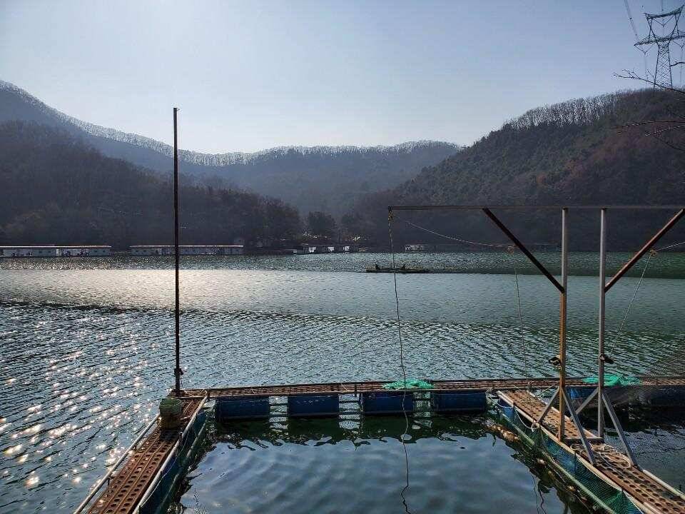 경기광주 진우 낚시터 (유료터정보 - 유료터조행기)