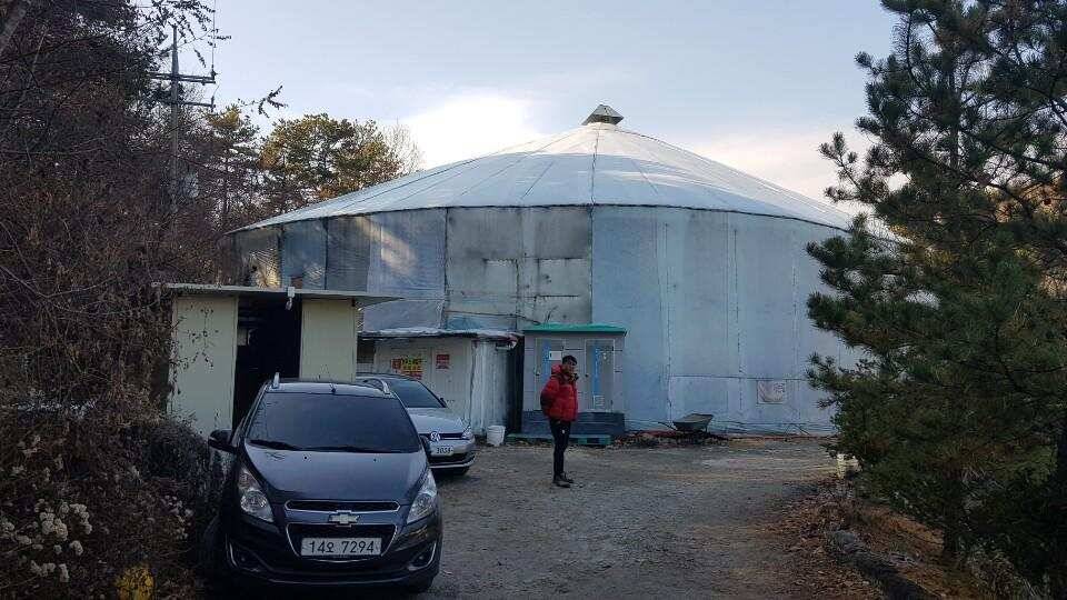 여주낚시터 하우스 조행기 (유료터정보 - 유료터조행기)