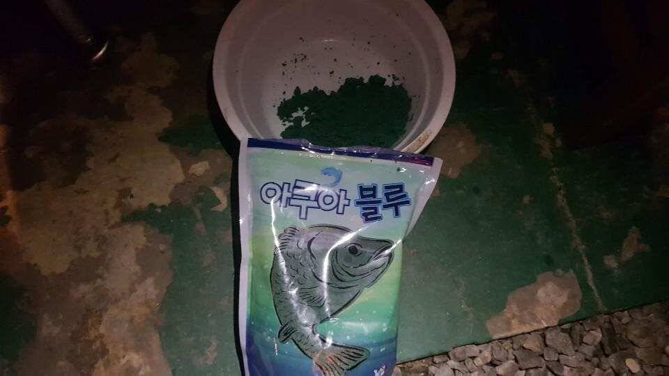 동림리 낚시터 출조 (유료터정보 - 유료터조행기)