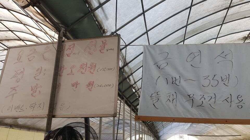안석 낚시터 하우스 출조 (유료터정보 - 유료터조행기)