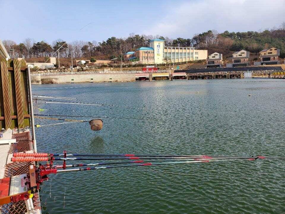 다시 찾은 장광낚시터 (유료터정보 - 유료터조행기)