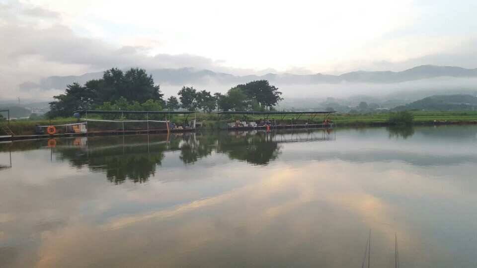 경주 새롭게 떠오르는 신계낚시터 탐방 (유료터정보 - 유료터조행기)