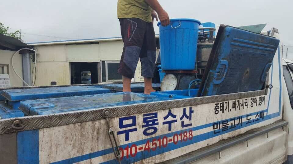 경주 새롭게 떠오르는 신계낚시터 탐방 (유료터정보 - 유료터조행기)