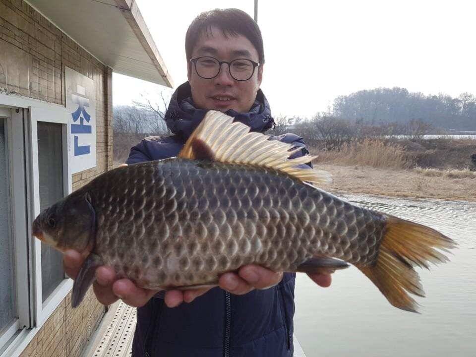 빠야짜야 시즌시작 고삼지 양촌좌대를 가다 (유료터정보 - 유료터조행기)