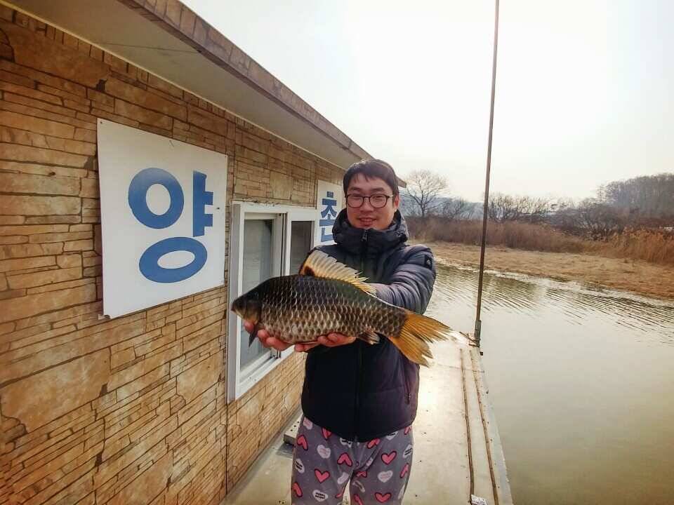빠야짜야 시즌시작 고삼지 양촌좌대를 가다 (유료터정보 - 유료터조행기)