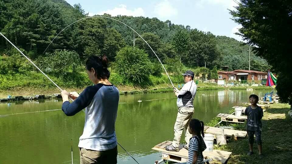송어대박산골낚시터 (유료터정보 - 유료터조행기)