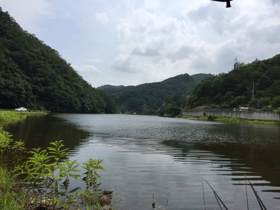 오산나그네의 고산낚시터 조행일기 (유료터정보 - 유료터조행기)
