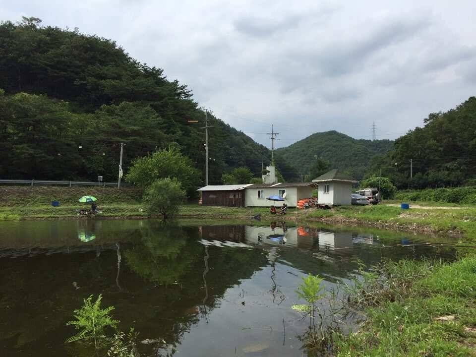 오산나그네의 고산낚시터 조행일기 (유료터정보 - 유료터조행기)
