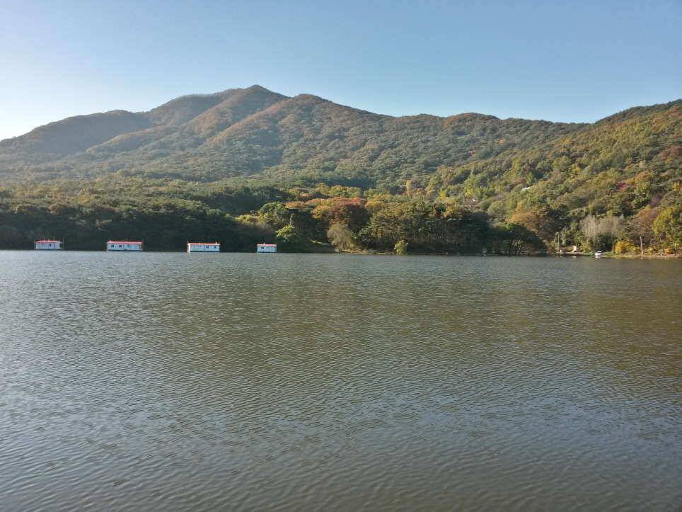 아산 산들 낚시터 밤낚시 혼자 하기 (유료터정보 - 유료터조행기)