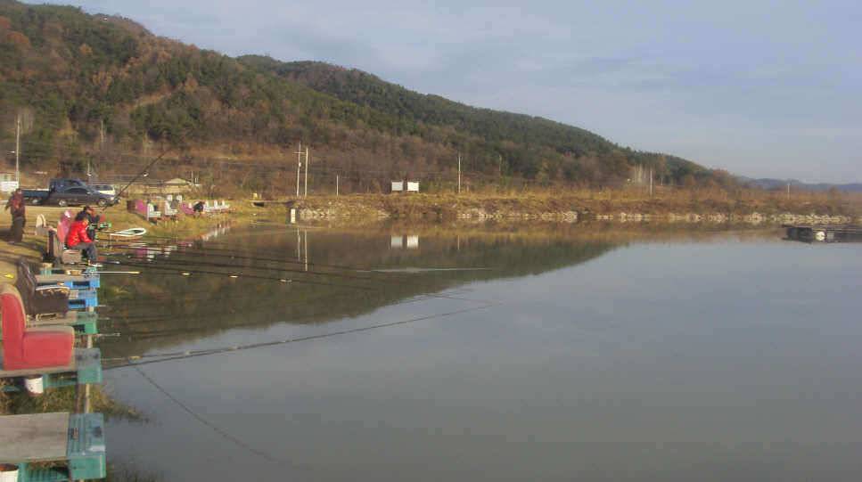 해바라기 찌 사용기 (유료터정보 - 유료터조행기)