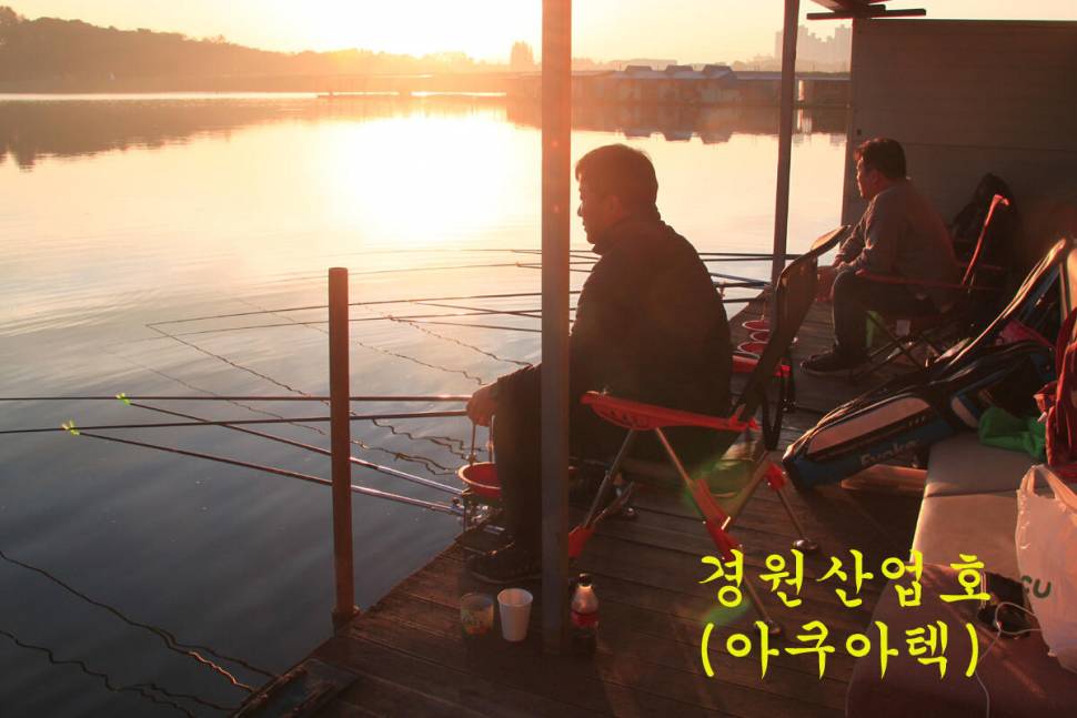 입동에 찾아 온 대박 (유료터정보 - 유료터조행기)