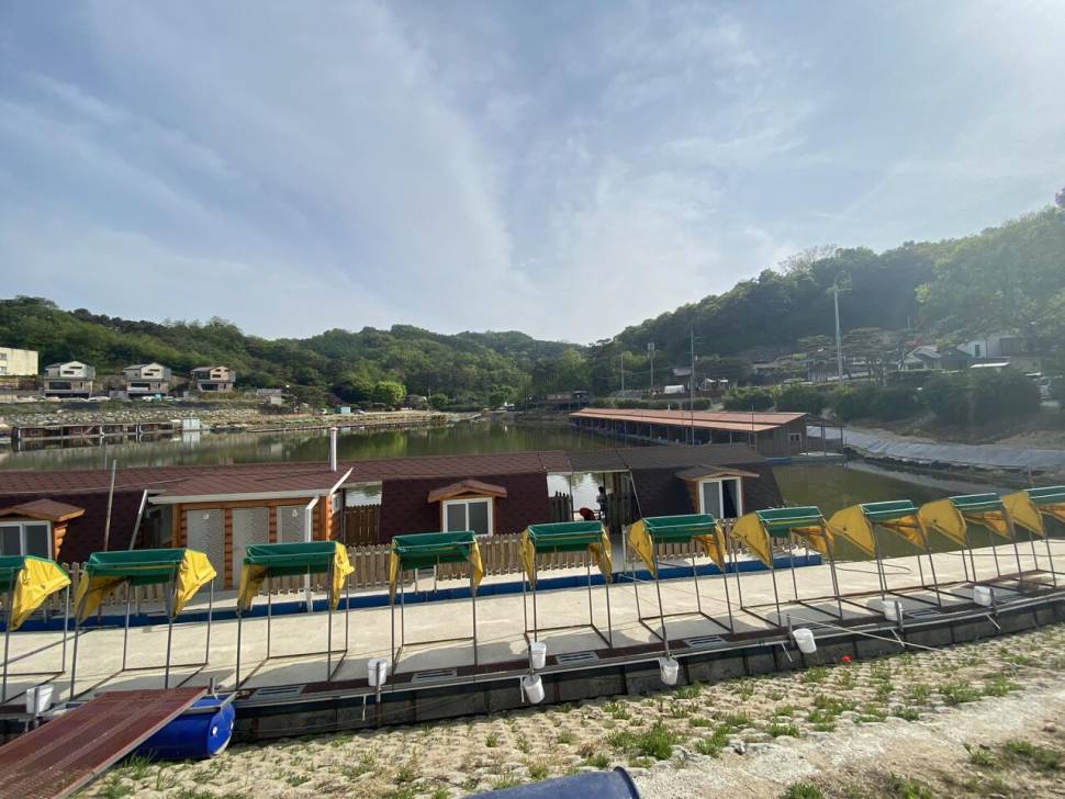 안성 장광낚시터 후기 (유료터정보 - 유료터조행기)