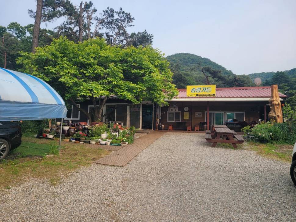 끝내주는 경치 끝내주는 마리수 둘다 만족하는 낚시터가 있다 안성 성주리낚시터 (유료터정보 - 유료터조행기)