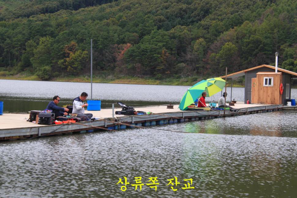 16척 마둔낚시터 (유료터정보 - 유료터조행기)
