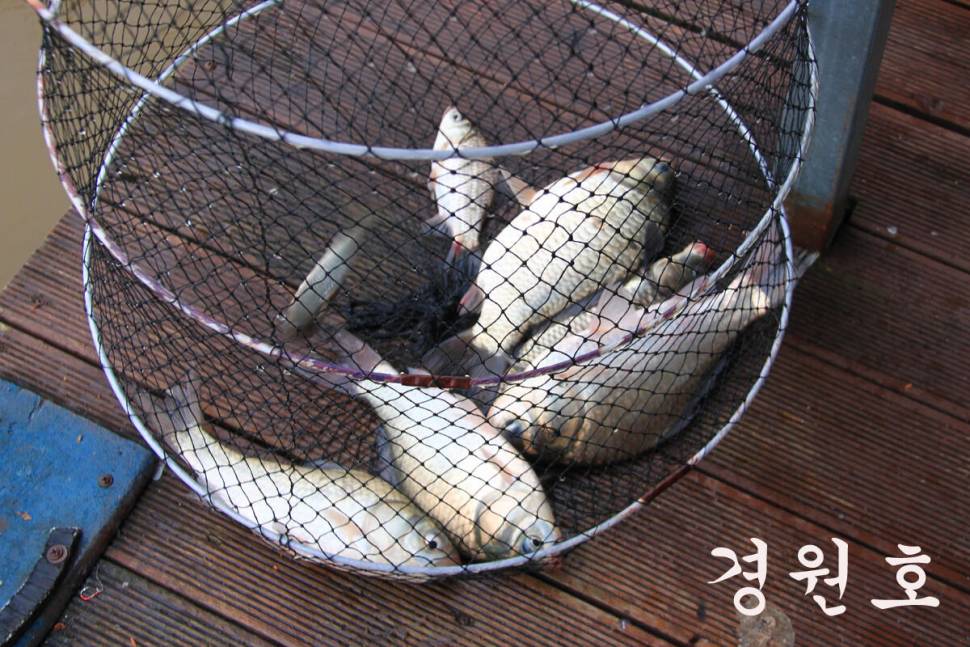 조황 베리 굿 (유료터정보 - 유료터조행기)