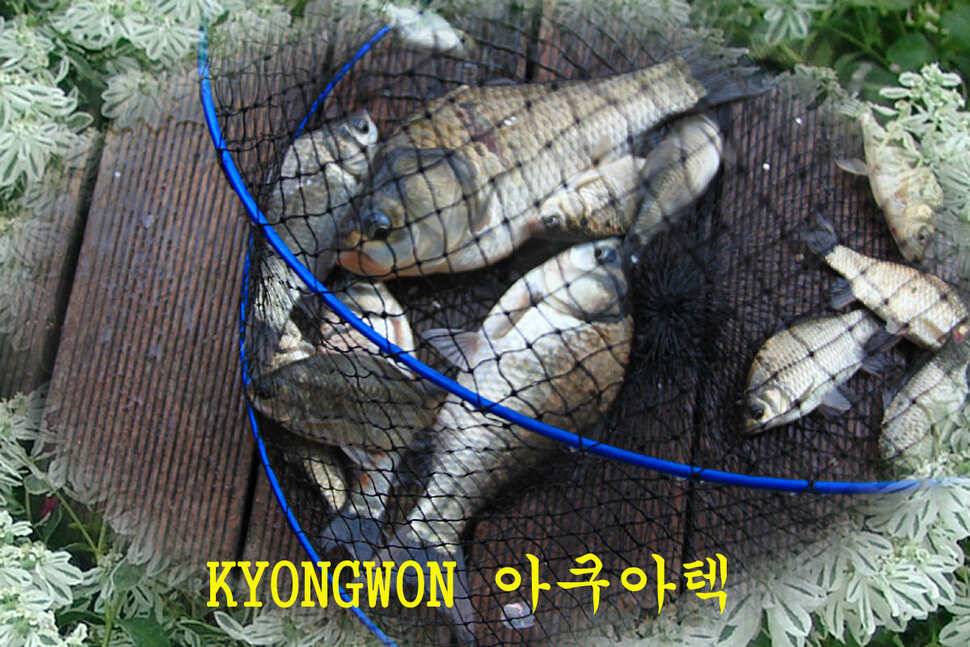 전층愛 빠지다 만정낚시터 (유료터정보 - 유료터조행기)