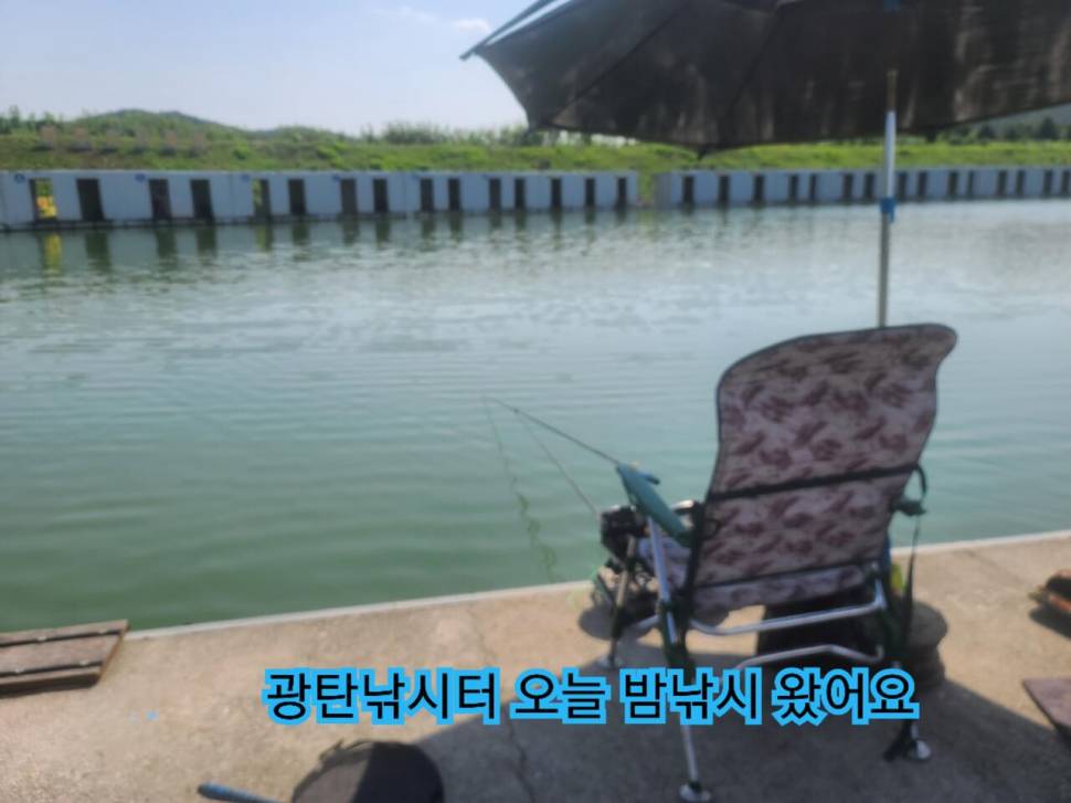 어제 광탄낚시터 조황 (유료터정보 - 유료터조행기)