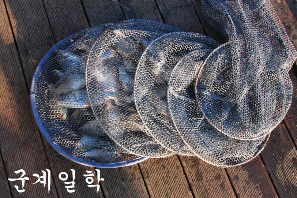 아침 안개 만정낚시터 (유료터정보 - 유료터조행기)