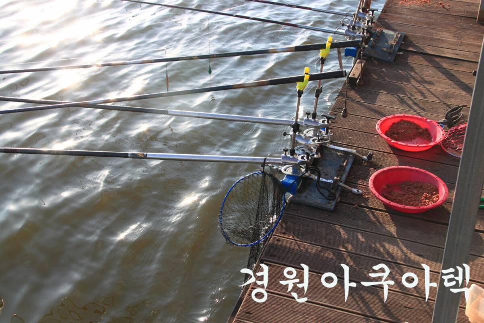 기온이 떨어져도 만정낚시터 (유료터정보 - 유료터조행기)