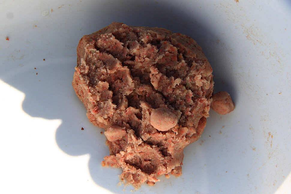 물속을 어찌 알까요 덕성낚시터 (유료터정보 - 유료터조행기)