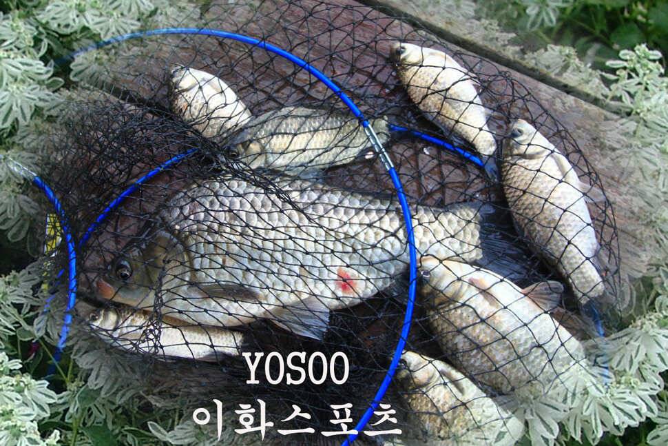 전층愛 빠지다 만정낚시터 (유료터정보 - 유료터조행기)