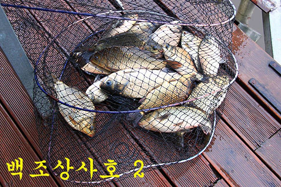 붕어들의 역습 만정낚시터 (유료터정보 - 유료터조행기)