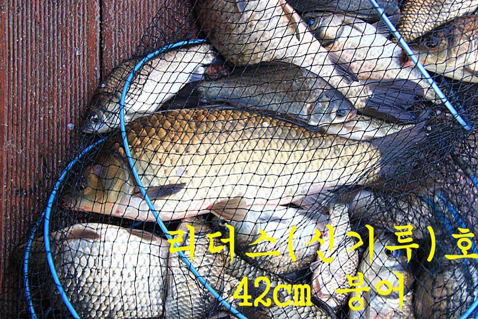 붕어들의 역습 만정낚시터 (유료터정보 - 유료터조행기)