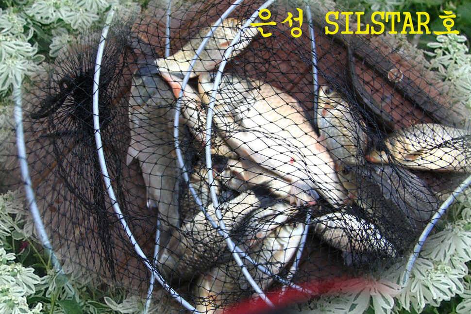 전층愛 빠지다 만정낚시터 (유료터정보 - 유료터조행기)