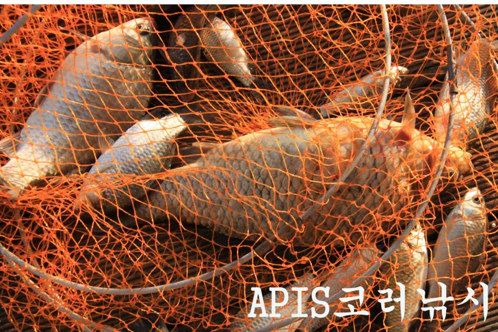 기온이 떨어져도 만정낚시터 (유료터정보 - 유료터조행기)