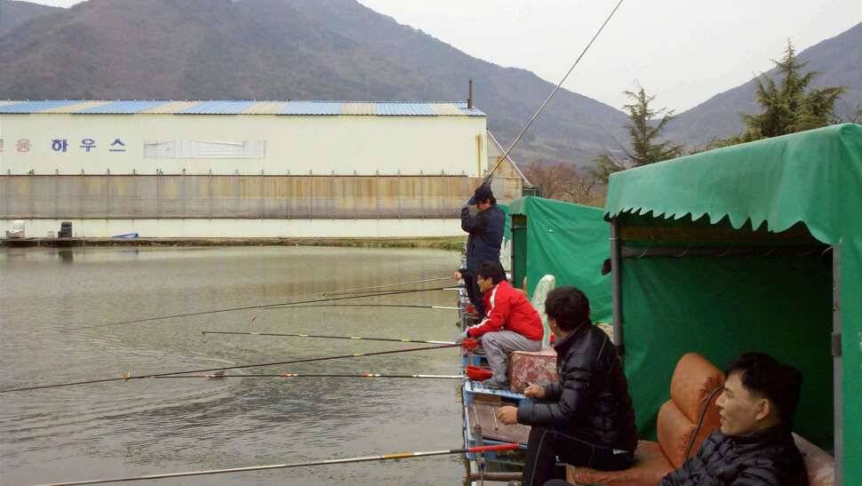찌오름정기출조 청도 매전낚시터에서 (유료터정보 - 유료터조행기)