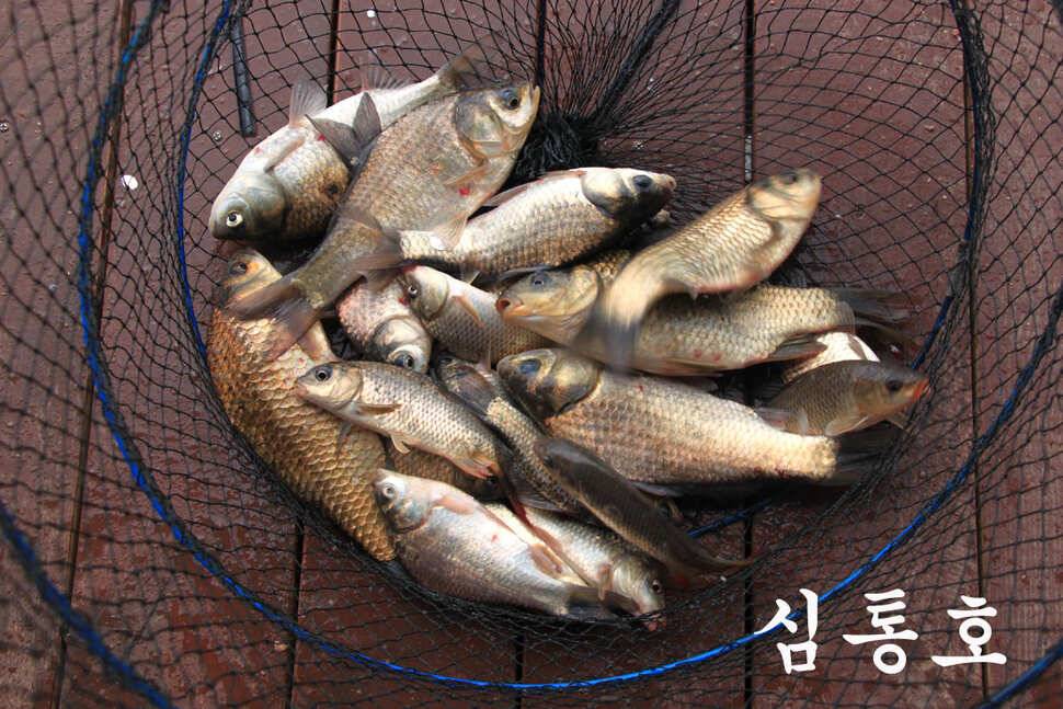 6월 14일 만정지 (유료터정보 - 유료터조행기)