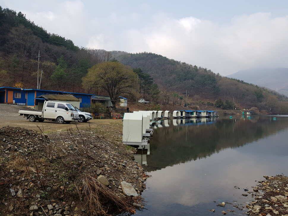 오산나그네의 천평낚시터 조행기 (유료터정보 - 유료터조행기)