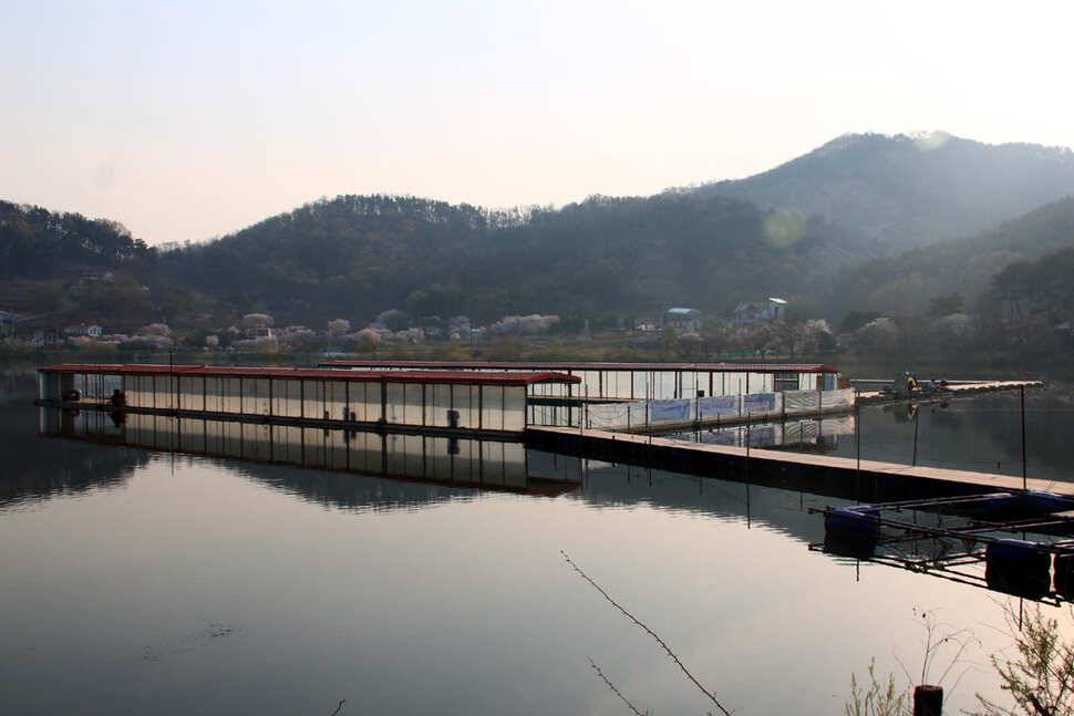 도로로가 답이었네요 냉정낚시터 (유료터정보 - 유료터조행기)