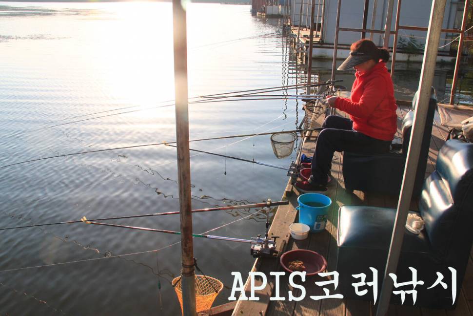 기온이 떨어져도 만정낚시터 (유료터정보 - 유료터조행기)