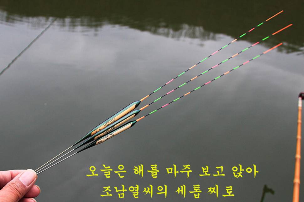 새 붕어 입질 굿 (유료터정보 - 유료터조행기)